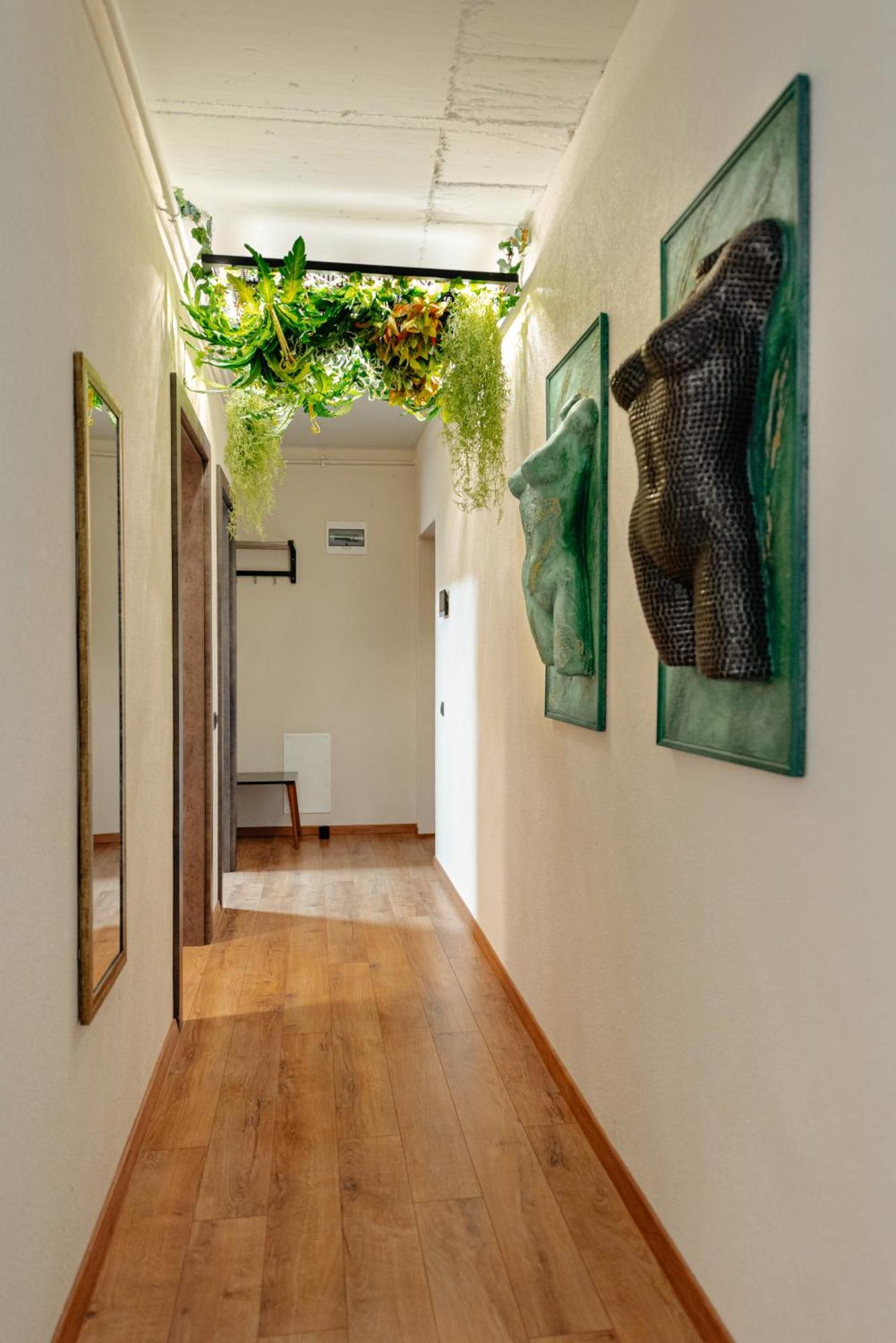 Centro Accommodation Cluj-Napoca Eksteriør billede
